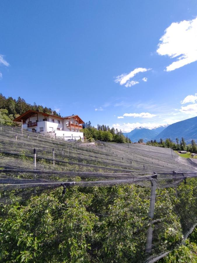 Pruensterhof Schenna Leilighet Eksteriør bilde