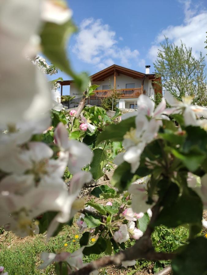 Pruensterhof Schenna Leilighet Eksteriør bilde