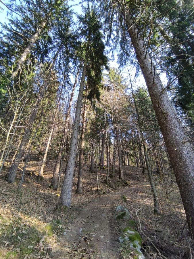 Pruensterhof Schenna Leilighet Eksteriør bilde