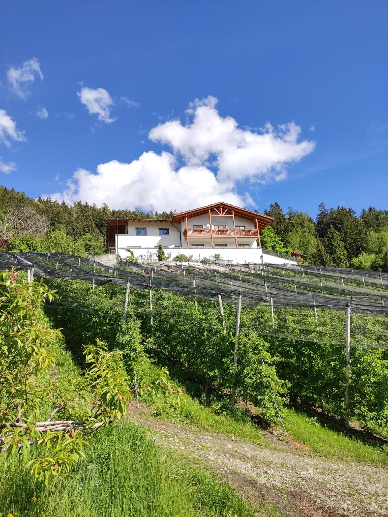 Pruensterhof Schenna Leilighet Eksteriør bilde